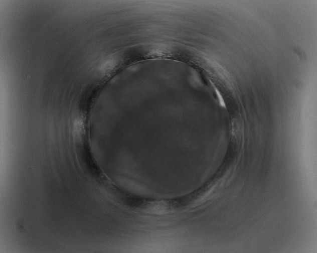 X0000116780127200912311905