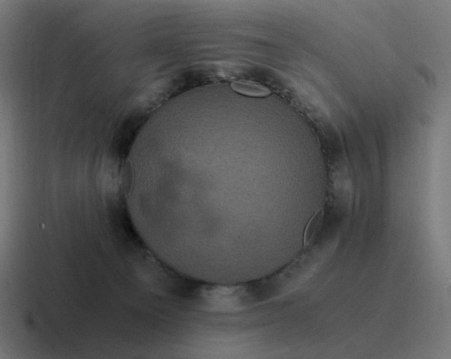 X0000116780129200912311905