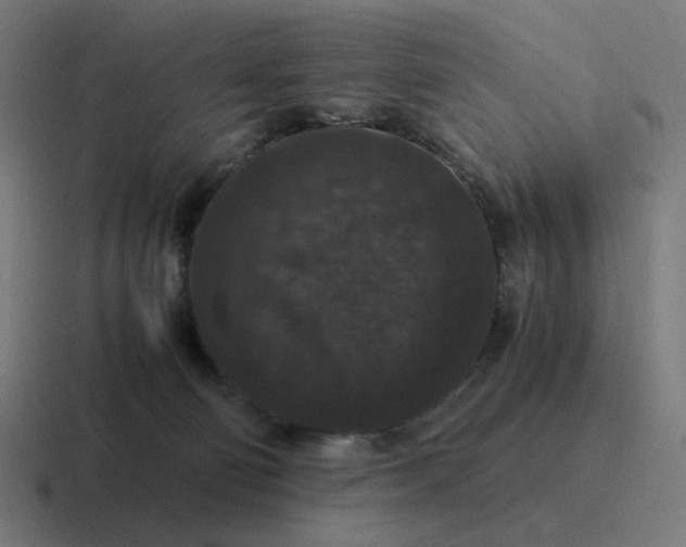 X0000116780130200912311905