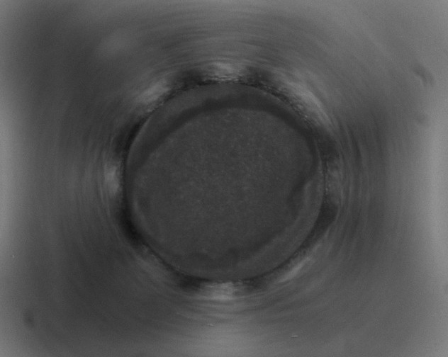 X0000116780131200912311905