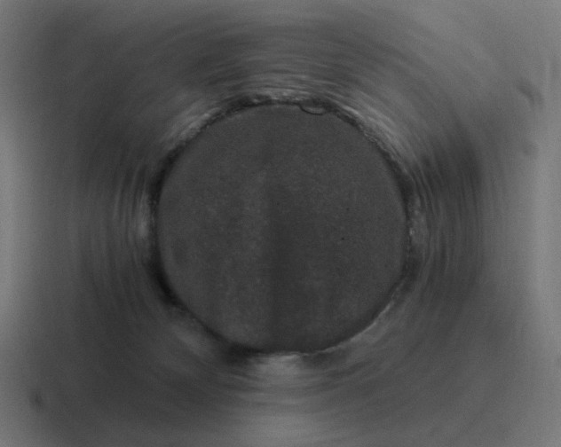 X0000116780132200912311905