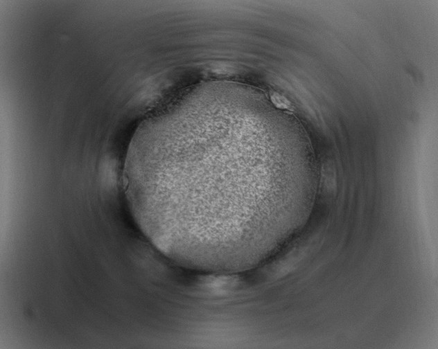 X0000116780135200912311905