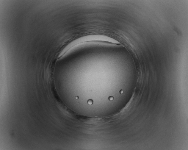 X0000116780136200912311905