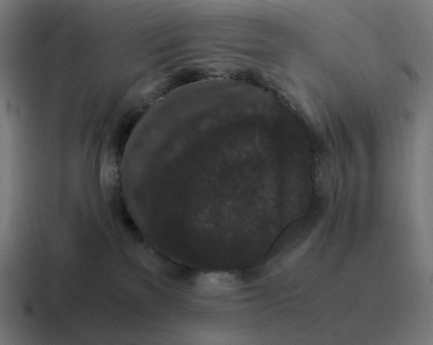 X0000116780137200912311905