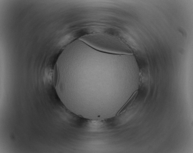 X0000116780141200912311905