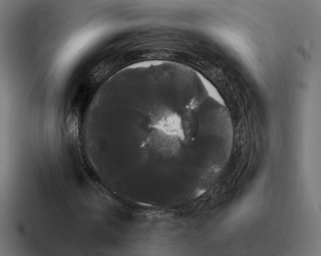 X0000116780146200912311904