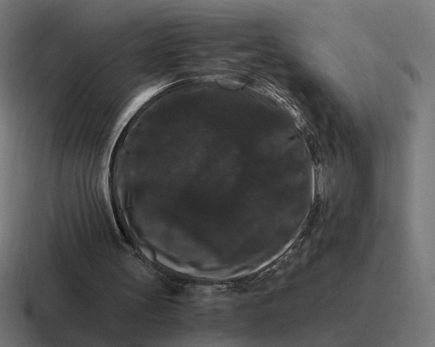 X0000116780147200912311904