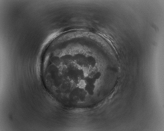 X0000116780149200912311904