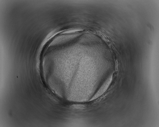 X0000116780150200912311904