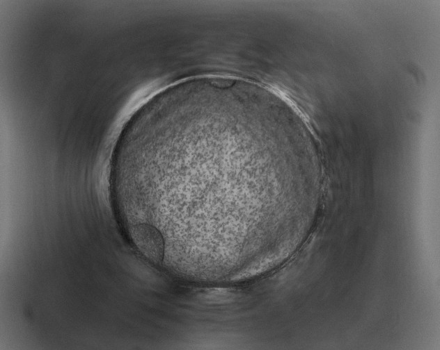 X0000116780151200912311904