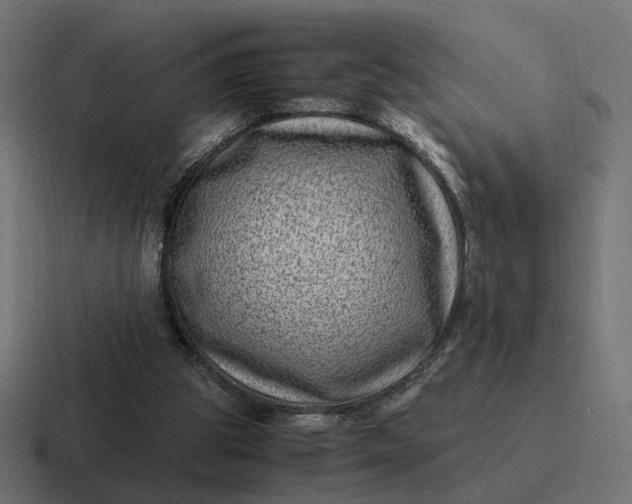 X0000116780153200912311904