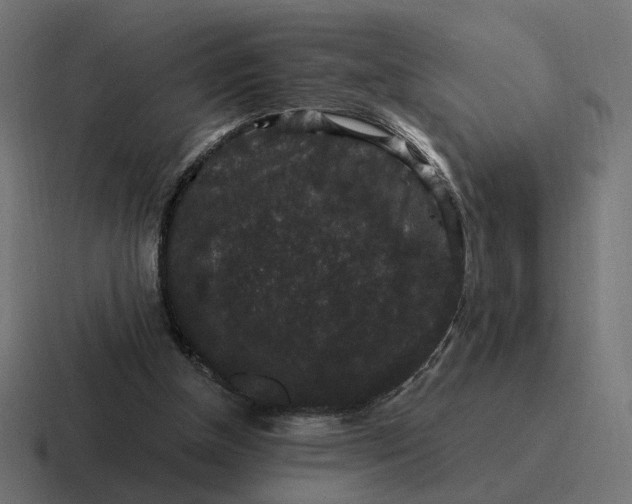 X0000116780154200912311904