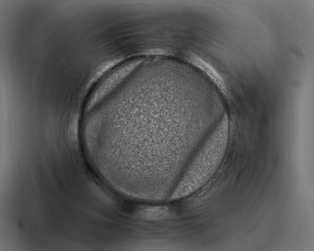 X0000116780155200912311904