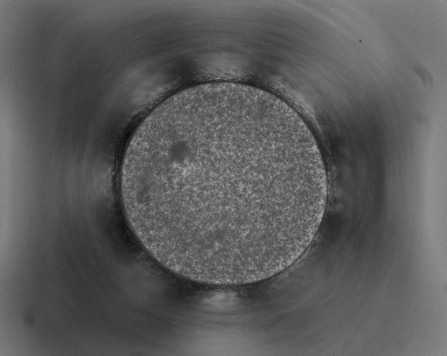 X0000116780162200912311904