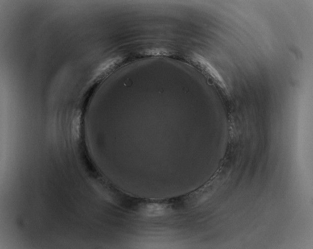 X0000116780163200912311904