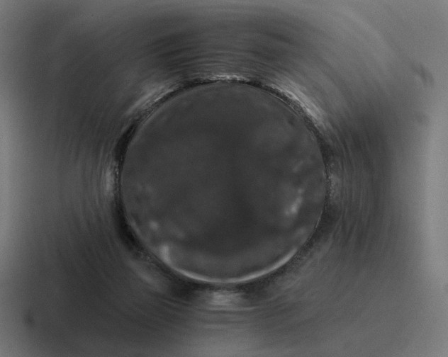 X0000116780165200912311904