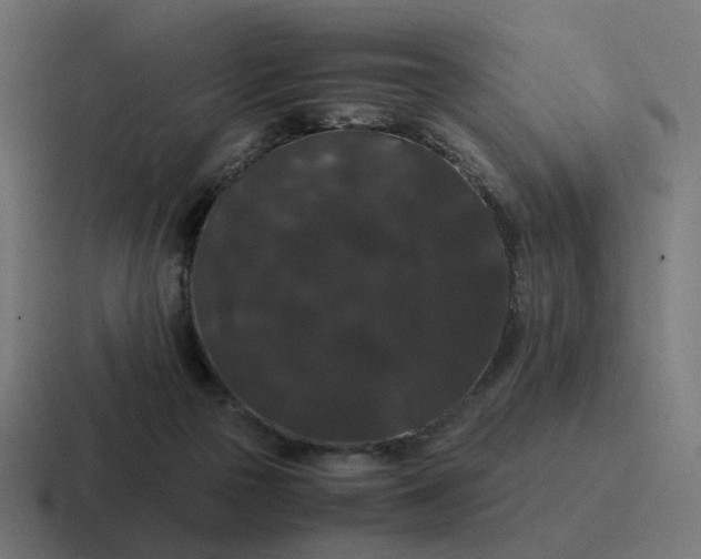 X0000116780169200912311904