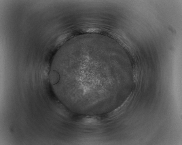 X0000116780175200912311904