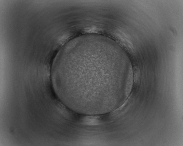 X0000116780179200912311904