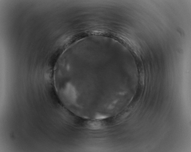 X0000116780181200912311904