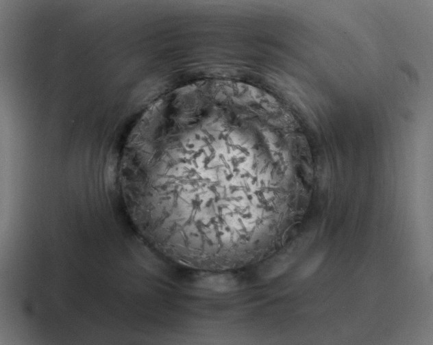 X0000116780185200912311904