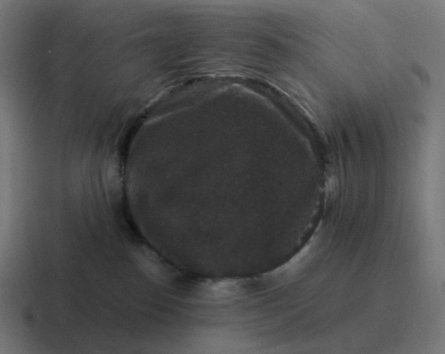 X0000116780186200912311904