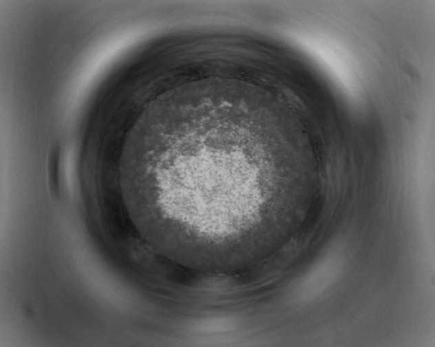 X0000116780189200912311904