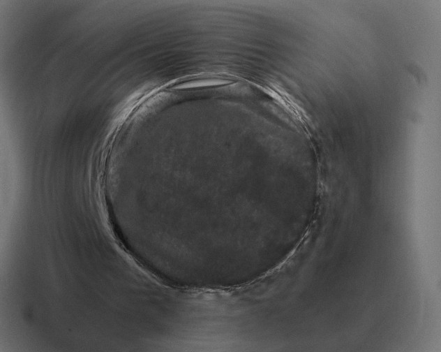 X0000116780193200912311904