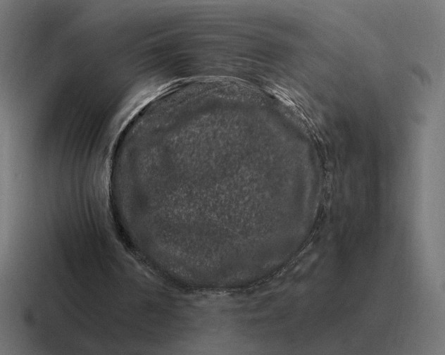 X0000116780194200912311904