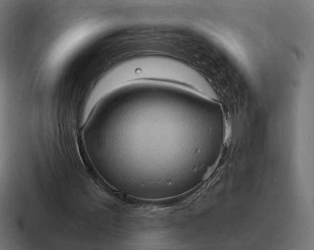 X0000116780195200912311904