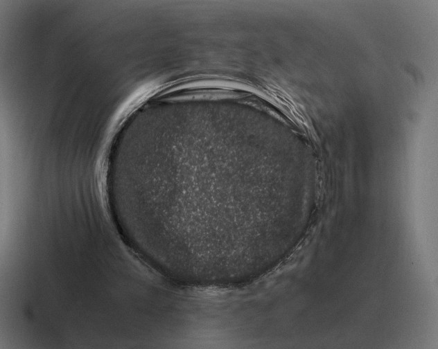 X0000116780197200912311904