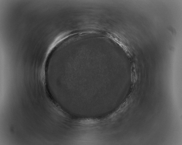 X0000116780198200912311904