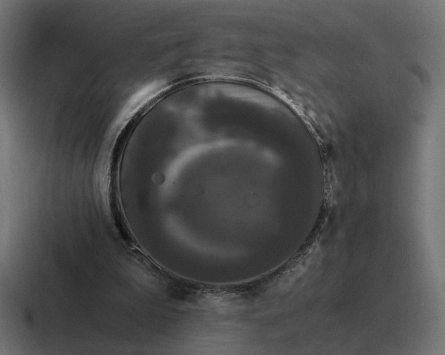 X0000116780199200912311904