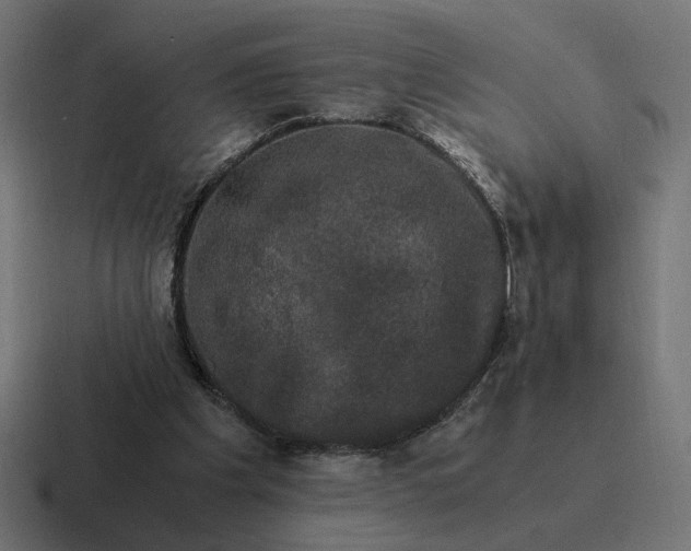 X0000116780201200912311904