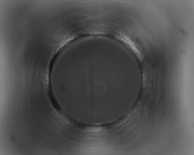 X0000116780202200912311904