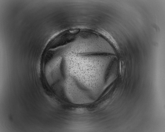 X0000116780204200912311904