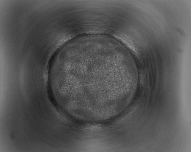 X0000116780206200912311904