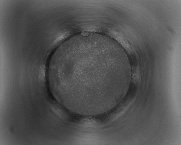 X0000116780207200912311904