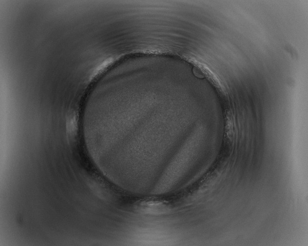 X0000116780208200912311904