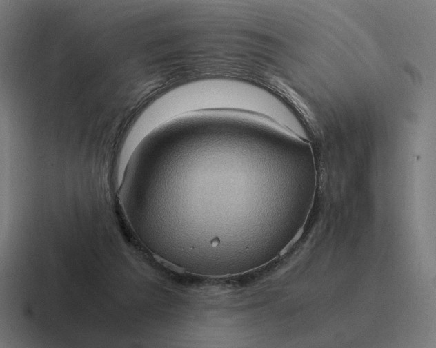 X0000116780209200912311904