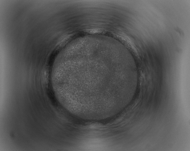 X0000116780210200912311904