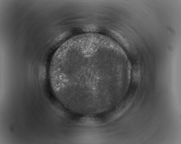 X0000116780211200912311904