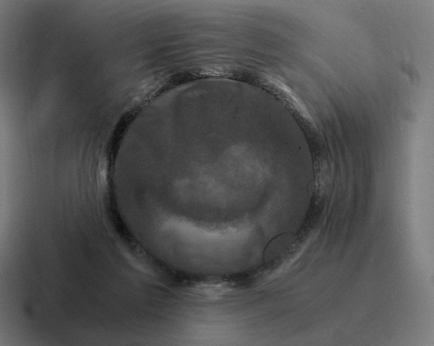 X0000116780213200912311904