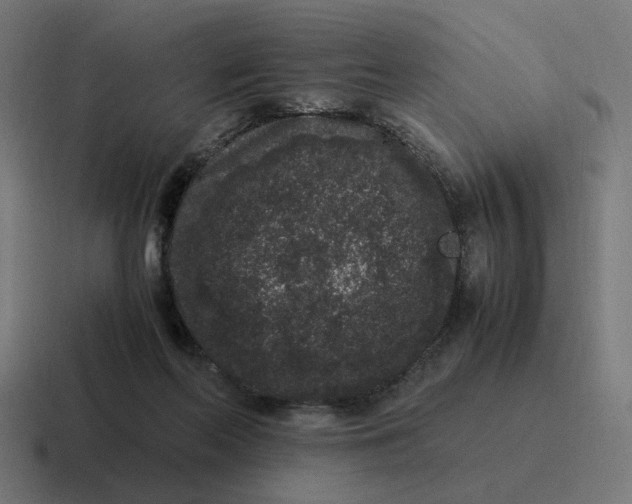 X0000116780214200912311904