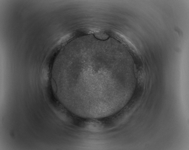 X0000116780215200912311904