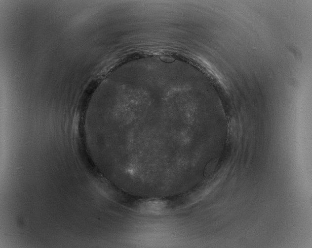 X0000116780217200912311904