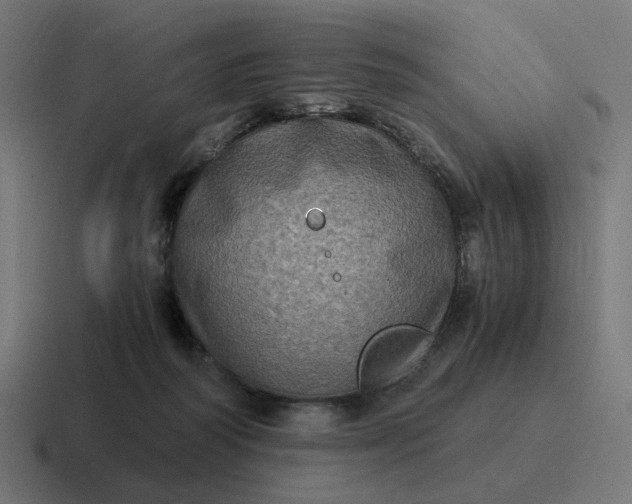 X0000116780218200912311904