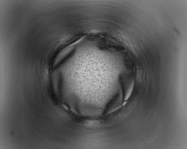 X0000116780220200912311904