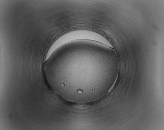 X0000116780221200912311904