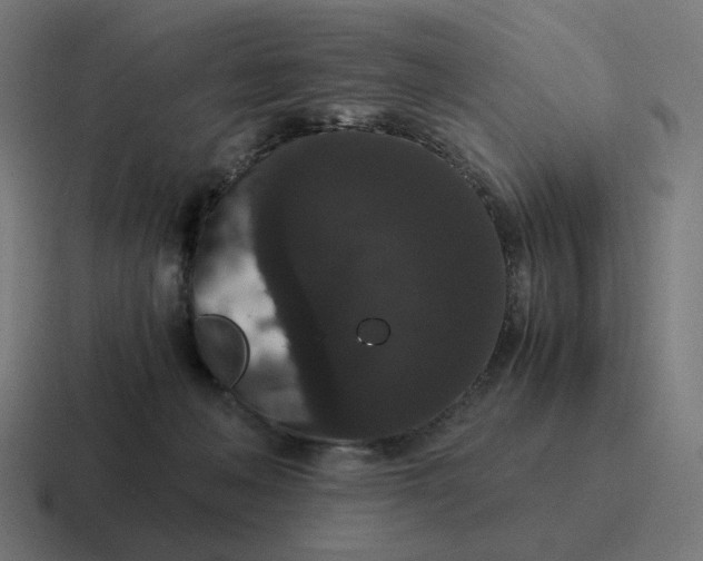 X0000116780222200912311903